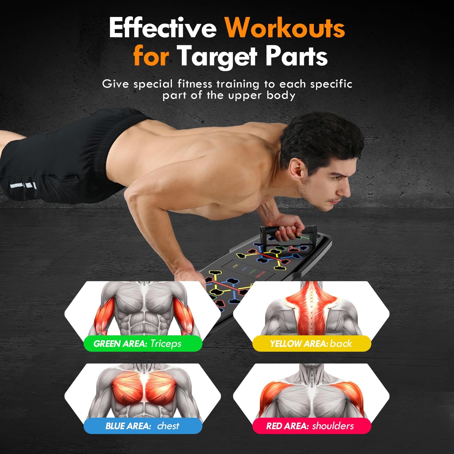 Portable Home Gym Kit with Push-Up Board, Pilates Bar, Resistance Bands & Ab Roller